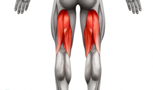 کش های ورزشی برای تقویت عضلات پا