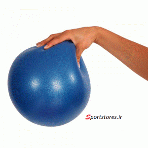 توپ ورزشی